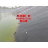 供应南京蓄水池防渗膜规格|盘锦两布一膜价格|施工