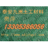 张家口绿化三维植被网垫，三维植草网垫,，土工网垫
