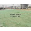 盖土防尘网，工地绿化塑料网北京丰台厂家批发