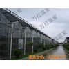 Come On！专业建造光伏温室||专业建设光伏温室【万红】
