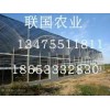 搭建连栋生态餐厅|去哪找靠谱的连栋生态餐厅建设