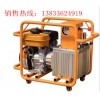 日本IZUMI原装进口HPE-2A汽油机液压泵