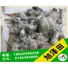 哪里的鸽子粪纯【旭泽田肥厂】批发纯鸽子粪|不掺假|纯度高|价格低