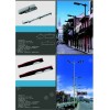 【帝豪】供应赞皇路灯 栾城路灯 赵县路灯  柏乡路灯