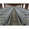 【黑山亿发机械厂】母猪产床 养殖设备 养猪设备