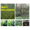 三明优惠的白酒批发供应|广西白酒