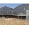 三明温室大棚建造找黑土农科，自动水肥一体化温室厂家