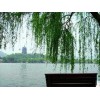 上海受欢迎的上海周边游【荐】——可信赖的上海周边游