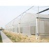 菏泽薄膜连栋温室建造：山东薄膜连栋温室建造哪家信誉好