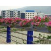 花盆市场行情资讯：护栏绿化用-塑料花盆厂家