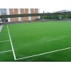 西藏体育场地工程厂家——哪里买人造草坪实惠