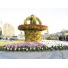 杭州菊花造型 热卖菊花造型市场价格