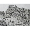 出售抢手的常欣作品|供应常欣作品
