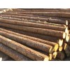 木材专卖店 河南专业的浚县木材加工品质推荐