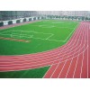 广东塑胶跑道：武汉地区品牌好的塑胶跑道在哪儿买