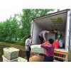 一流的粮油批发配送就选绿色快车_武汉食材承包公司