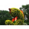 山东北京菊花造型商：北京菊花造型