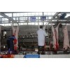 新又鲜畜禽优质的南宁生猪定点屠宰出售：西乡塘宰猪场