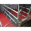 供应淮北质量可靠的母猪产床 母猪限位栏图片