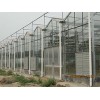 钢结构温室大棚建造哪家技术好 钢结构温室大棚价格