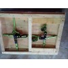 优质的投标蝶扣木箱生产厂家推荐：精致木箱
