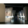博物馆展柜|供应县特质异形展柜