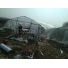 承建智能温室：独具特色的智能温室建造推荐