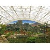 【荐】同城的花卉温室建设 花卉温室建设报价