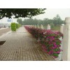 来鑫源盆业，买热销桥梁绿化用花盆：价格合理道路两侧绿化用花盆