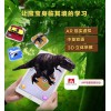 个性魔幻空间AR儿童4D早教系列产品面向全国招商加盟|新品魔幻空间产品报价