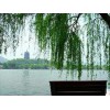 要找称心的上海周边游优选上海国旅：上海周边游方案