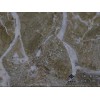 墙壁石材制造公司_福建哪里有供应实惠物美的大理石石料