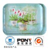 金景餐具划算的北欧风格创意西餐盘子_促销北欧风格创意西餐盘子欧式外贸餐具可爱卡通