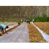 兰州地膜生产厂家怎么样：白银地膜公司