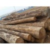安徽建筑木材，亚誉双木业信誉好的云杉销售商