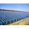 找有实力的日光温室建造就到亿成温室工程，冬暖式日光温室设计
