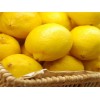新鲜柠檬价格_忠县哪里有供应优惠的新鲜柠檬