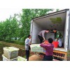 一流的蔬菜配送就选绿色快车：武汉专业的蔬菜配送公司