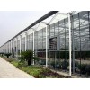 莆田玻璃温室，靠谱的福建玻璃温室大棚推荐