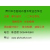 羽衣甘蓝苗价格|为您推荐优质羽衣甘蓝