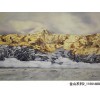 金山油画|供应出售莫也油画金山系列