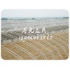 寿光益民出售实用的无立柱冬暖式温室：寿光温室建设