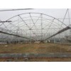 新型纹络温室建造_潍坊专业的纹络温室建造