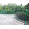 销售本厂生产的双边丝护栏网供应商 双边丝护栏网的规格价格