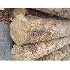 出售莆田好的云杉：建筑木材供应