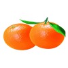 厂家直销特惠中,晚熟血脐橙——通州中熟血脐橙