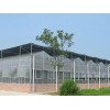 实用的新型智能温室哪里有，山东新型智能温室