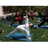 甘肃瑜伽教练培训——兰州瑜伽培训费用