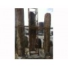 为您推荐双海石材厂质量好的木化树 木化树价格