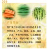 邢台哪里有厂家供应商用调速式切菜机|刹菜机食堂专用切片切丝切丁